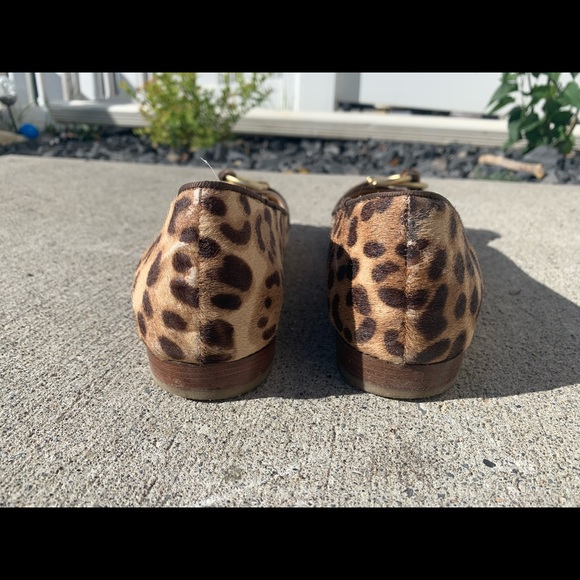 Cheetah Flats - Picture 4 of 4